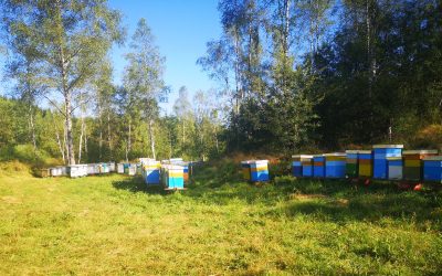 Beer and Beehives in the Balkans